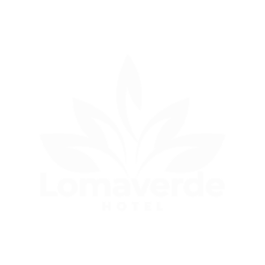 logo-hotel